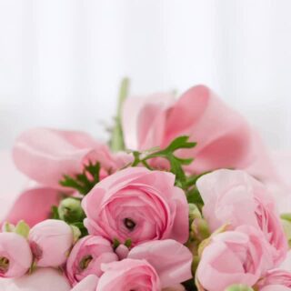 Wir wünschen allen Mama‘s einen wunderschönen Muttertag … genießt die Zeit mit euren Liebsten 💐💐💐 Patrick und die Bartle Mädls  #muttertag #bartleriefensberg #danke #fein